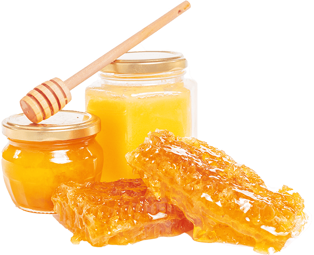 honey-1-chooseus-1-1e-1